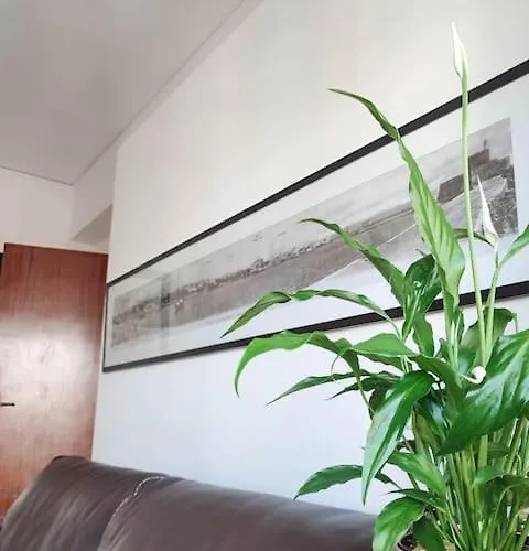 公寓 With Homegym, Next To The Main