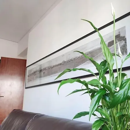 Apartament With Homegym, Next To The Main